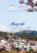9-PNCN-2019