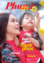 8-PNCN-2017