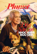 49-PNCN-2017