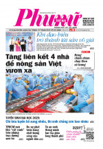 Phụ Nữ Thứ Hai - Số 98 - 8/9/2025