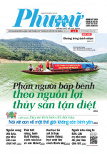 Phụ Nữ Thứ Tư - Số 06 - 14/01/2026