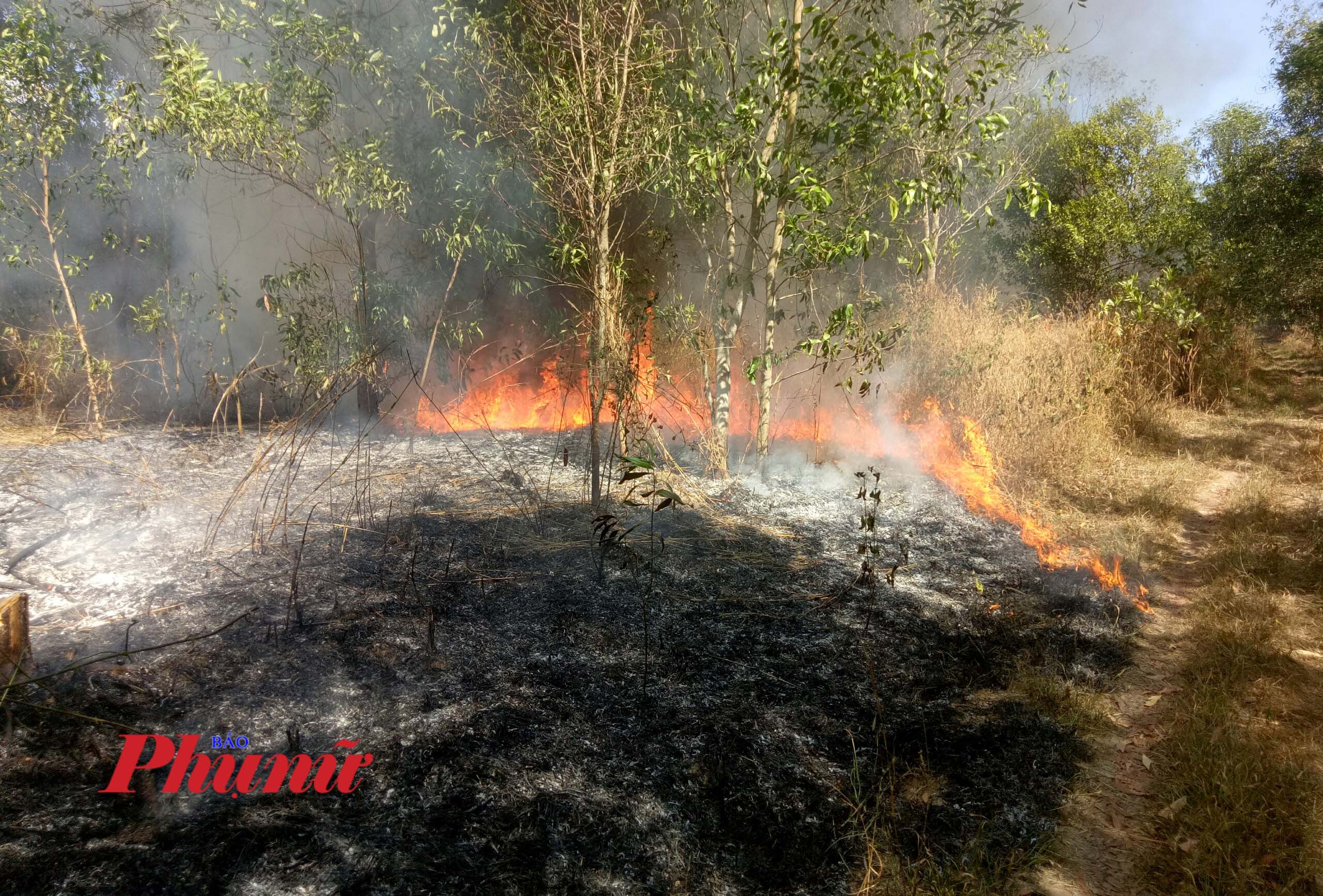 Lửa bốc cháy thiêu rụi gần 10 héc ta rừng tràm