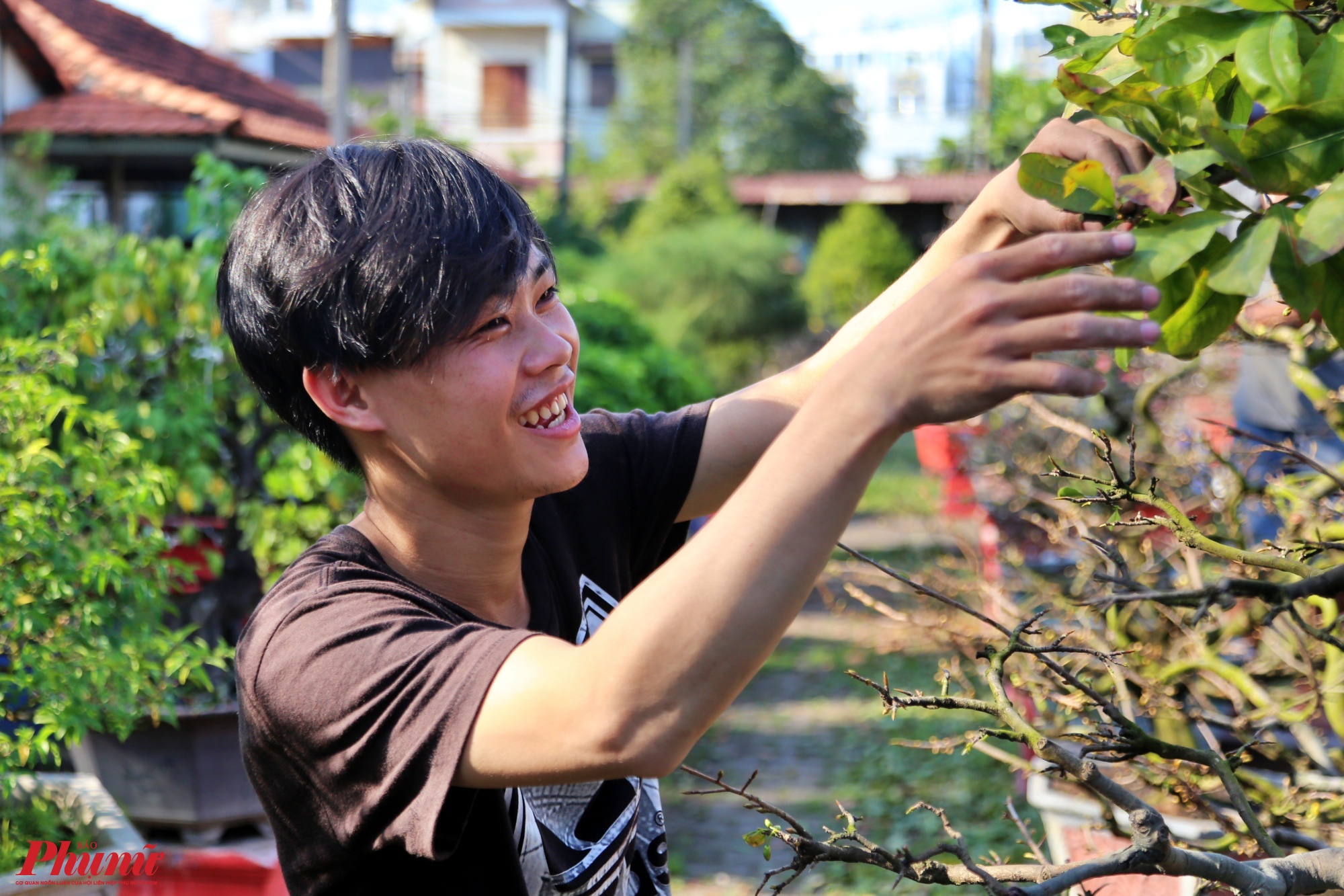 Theo anh Nguyễn Văn Tý, cho biết: Theo yêu cầu của chủ vườn, nhân công phải làm việc từ 6g sáng đến 18g chiều, lặt lá mai đòi hỏi khéo tay và tỉ mỉ. 
