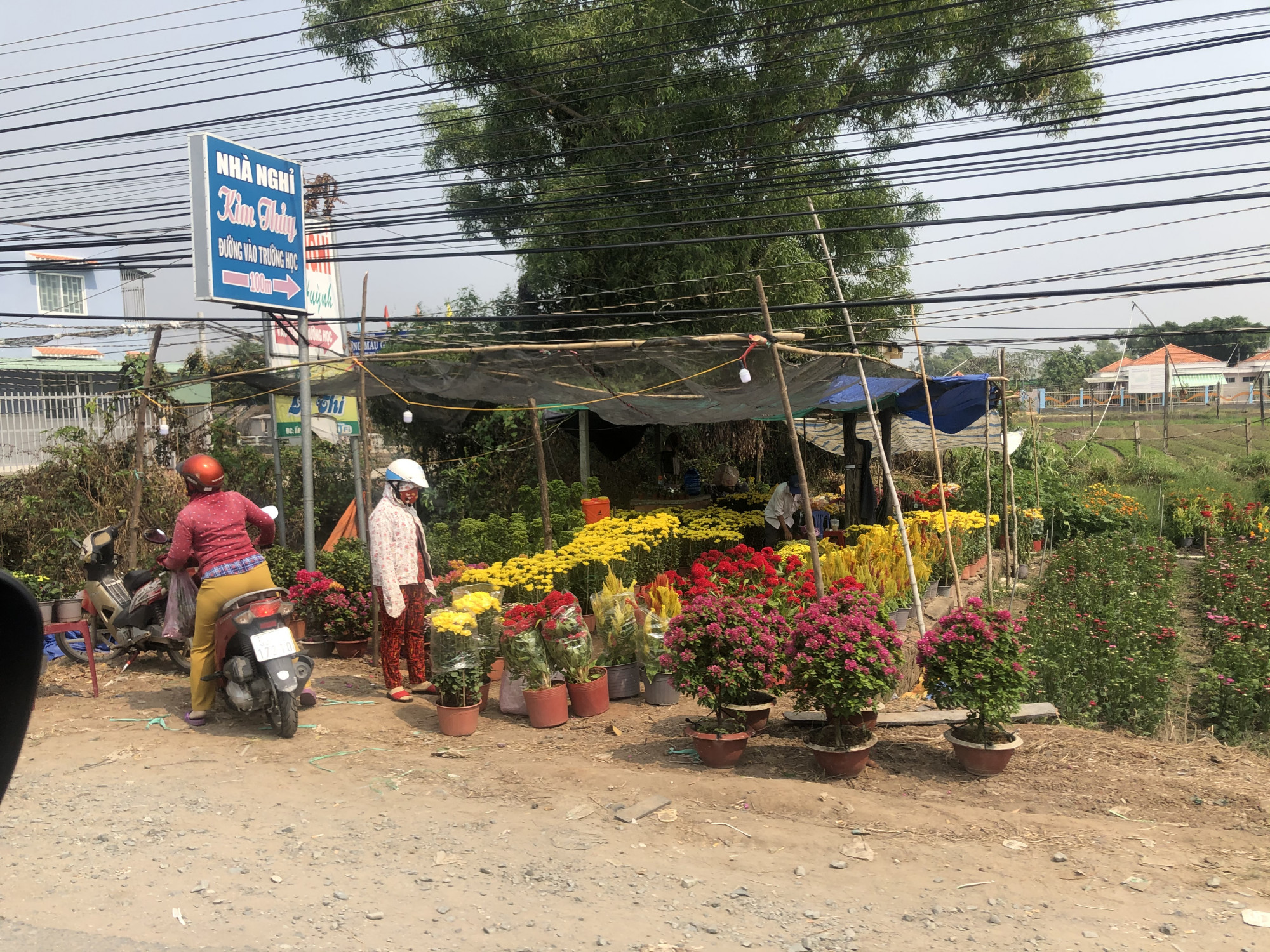 Hoa bày bán dọc đường từ huyện Cần Đước lên tận chợ Bình Chánh, thậm chí nhiều gia đình siêng năng chở hoa lên tận đường Nguyễn Văn Linh để bán cho được giá hơn. Ảnh: Thanh Huyền.