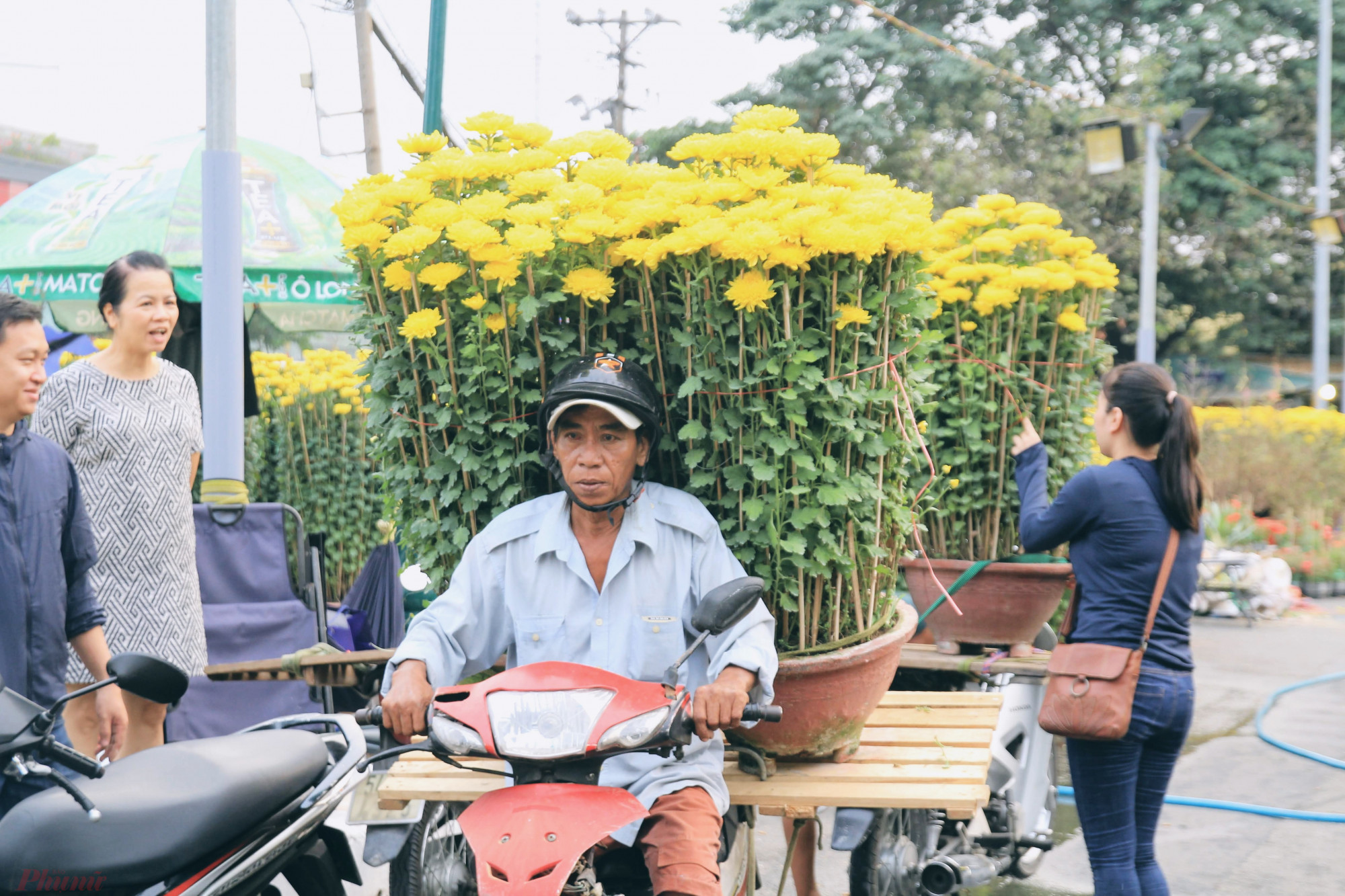 Từng tiết lộ với phóng viên, một người bán hoa cúc vàng tại TPHCM, mỗi mùa Tết sau khi tính mọi chi phí như nguồn hoa, mặt bằng, nhân công bán hàng, vận chuyển,... một mùa tết kiếm từ 200-300 triệu đồng.