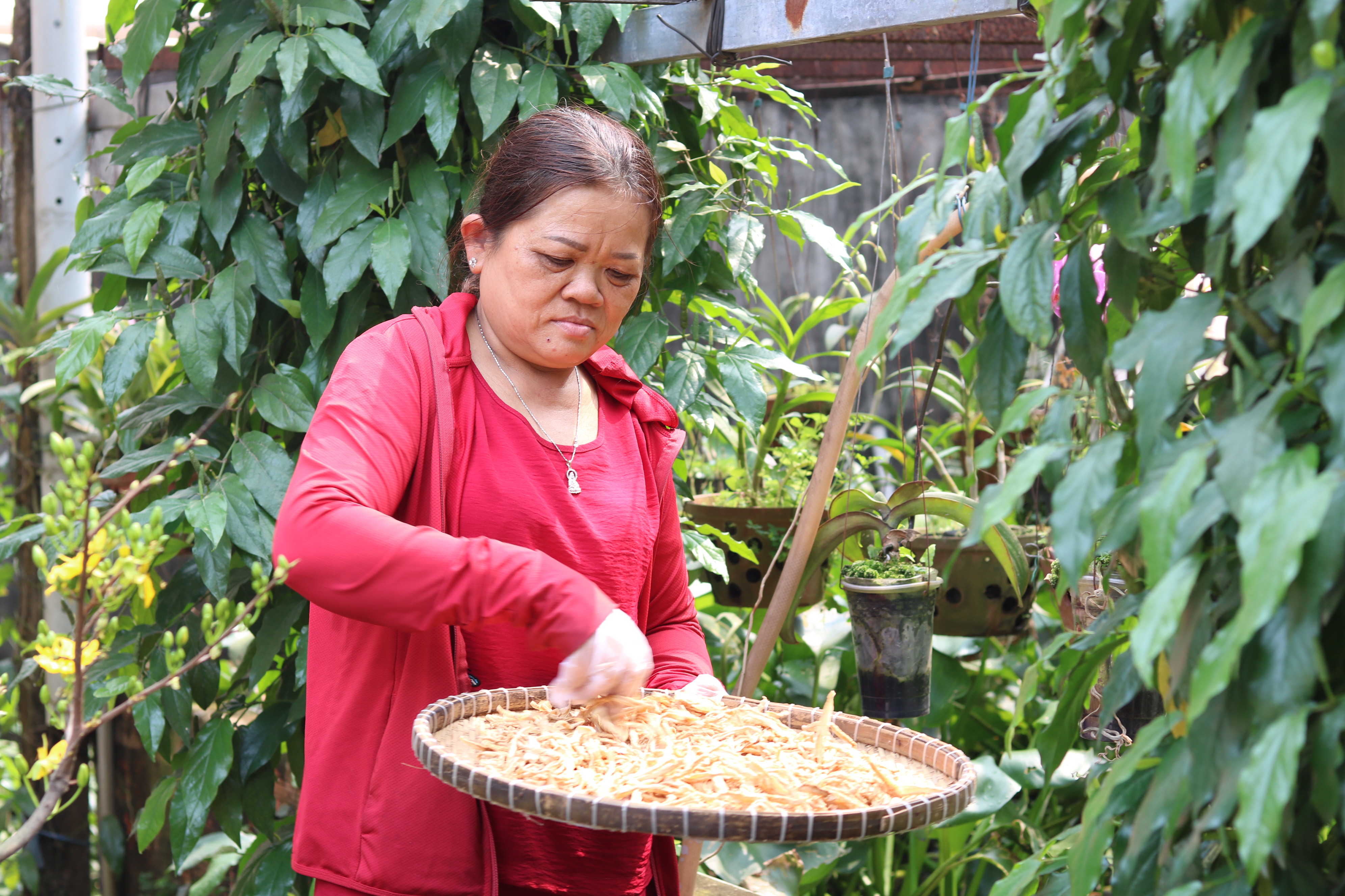 Với củ cải và cà rốt, để món ăn có vị chua ngọt và giòn, bà Thúy cắt tỉa tỉ mỉ, ngâm muối một đêm sau đó vắt, phơi hai nắng rồi mới cho vô hủ cùng hỗn hợp đường, nước mắm. 