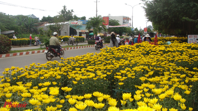 Bày bán hoa Tết dọc đường ở tỉnh Quảng Ngãi.