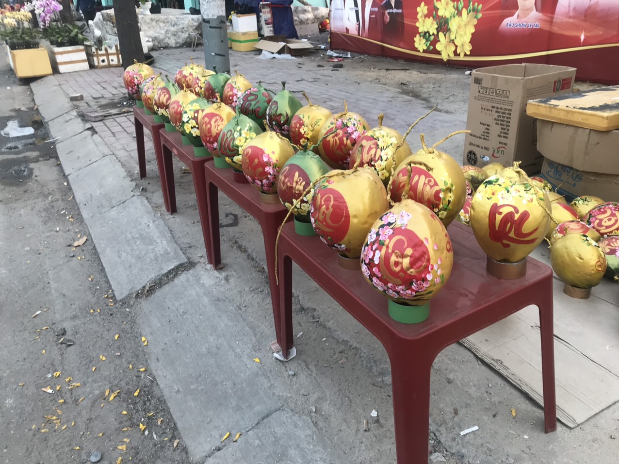 Với giá 100.000 đồng/trái nhỏ, 120.000 đồng/trái lớn, dừa thưa pháp cũng được bày bán tràn vỉa hè đoạn dưới chân cầu Phú Long (quận 12)