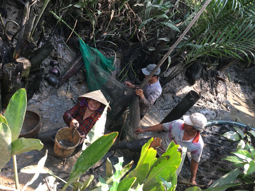 Nhờ tát mương được tôm cá kha khá, nhà thím Chín (Bờ Dừa) ăn tết ấm. 