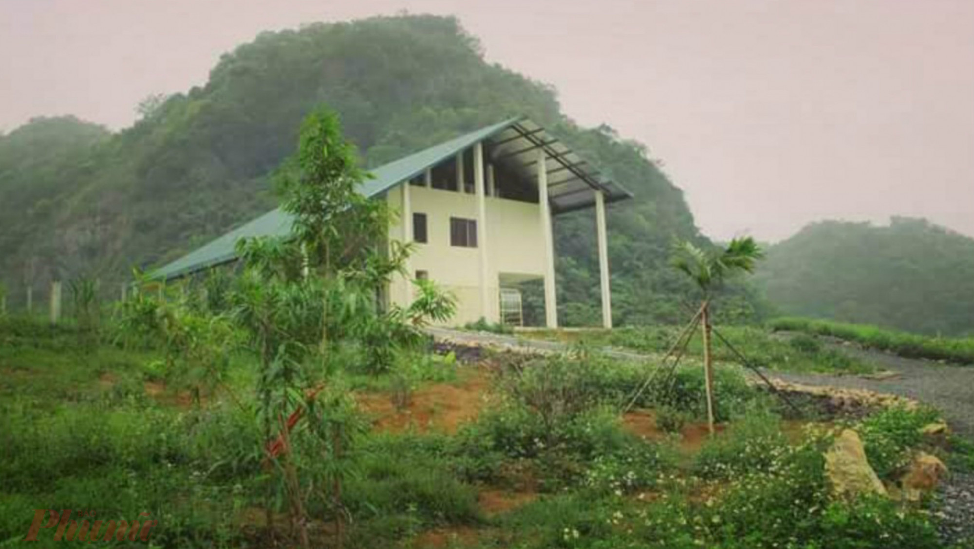 Ngôi nhà nhỏ giữa rừng Cúc Phương của ông Tilo và bà Thu Hiền