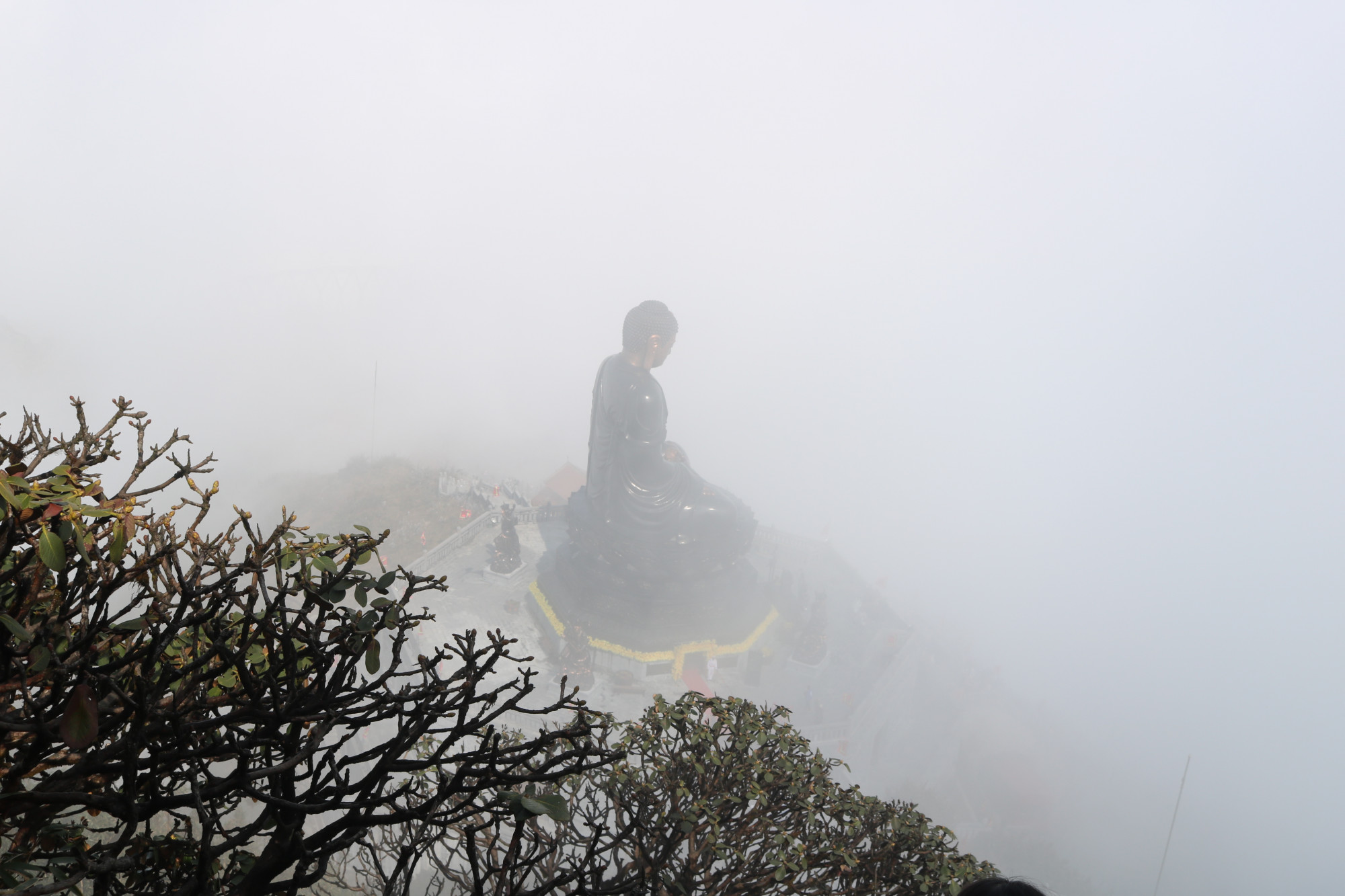 Tượng Phật trong sương mù
