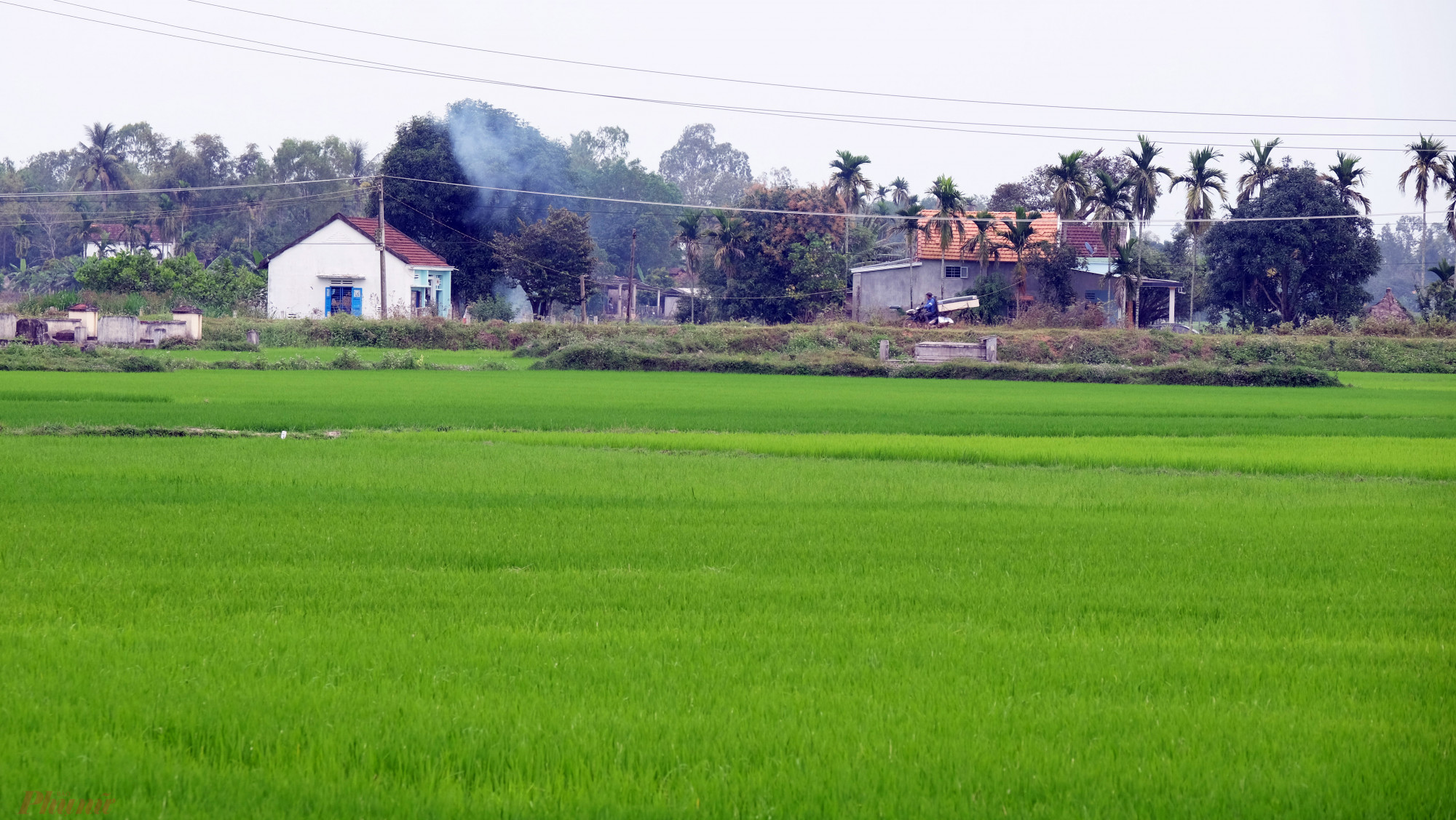 Quảng Ngãi - Với những bãi biển đẹp, những cánh đồng lúa chín đẹp đẽ và những ngôi chùa cổ kính, Quảng Ngãi là một điểm đến lý tưởng cho những ai muốn khám phá vẻ đẹp tự nhiên và văn hóa truyền thống của Việt Nam.