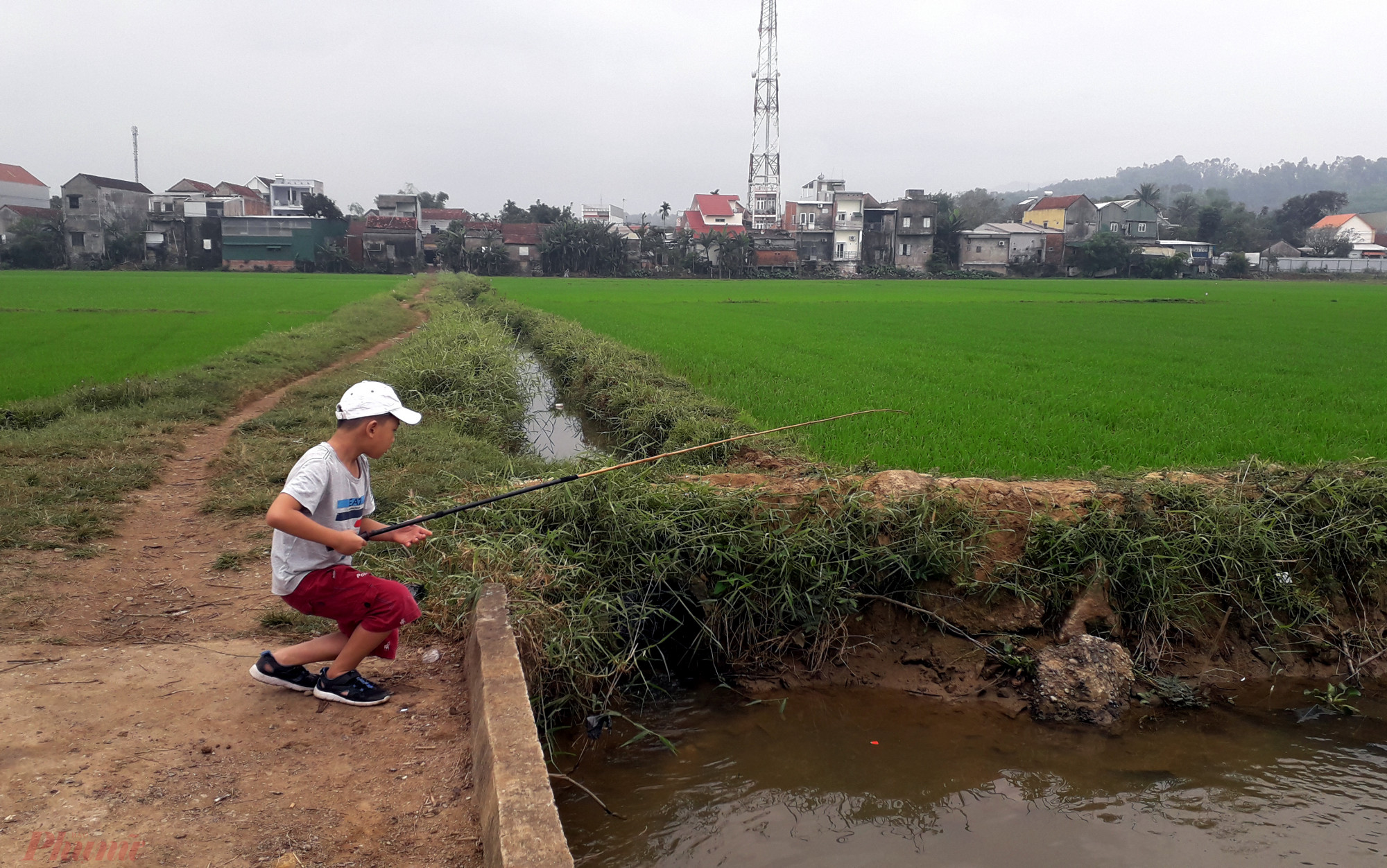 Câu cá ngoài đồng là trò mà hầu như đứa trẻ nào ở phố cũng yêu thích trong những ngày đón tết ở quê