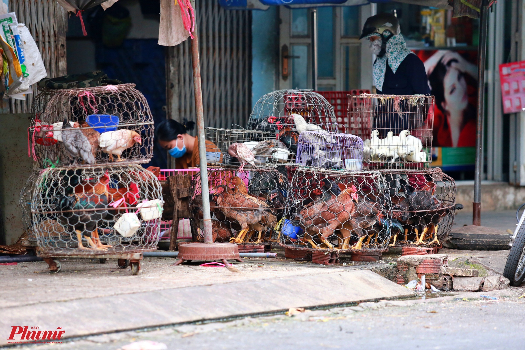 Một người phụ nữ ngồi bịt khẩu trang, giết mổ gà ngay sát ống cống, dễ gây nguy cơ lây nhiễm bệnh, mất an toàn vệ sinh thực phẩm 