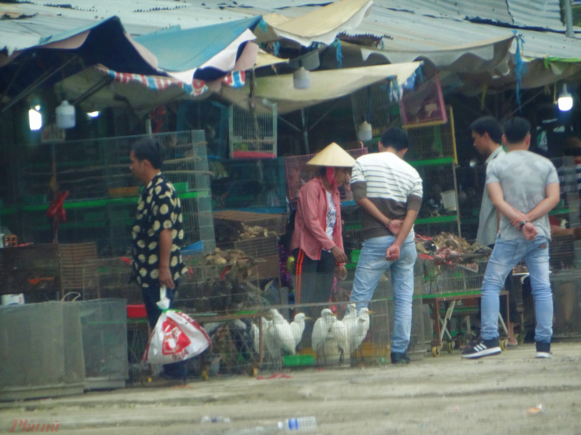 Cảnh mua bán động vật hoang dã công khai tại miền tây, Việt Nam. Ảnh: Hoàng Nhiên
