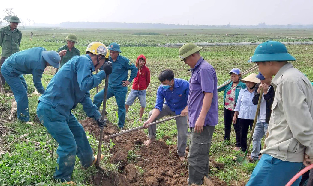 Từng nhóm người hò nhau bắt chuột làm huyên náo cả cánh đồng