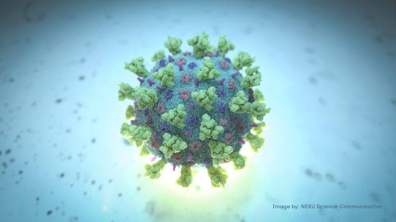 Mô hình cấu trúc đại diện của betacoronavirus, loại virus được liên kết với Covid-19, được biết đến như là coronavirus liên quan đến ổ dịch Vũ Hán. Mô hình do Nexu Science Communication phối hợp cùng  Đại học Trinity ở Dublin (Ireland) tạo ra trên máy tính - Ảnh: Reuters/NEXU