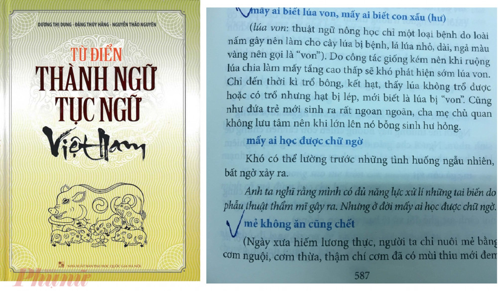 Từ trái qua: Bìa cuốn sách Từ điển thành ngữ tục ngữ Việt Nam và những nội dung sao chép của nhóm tác giả biên soạn do tác giả Hoàng Tuấn Công phát hiện