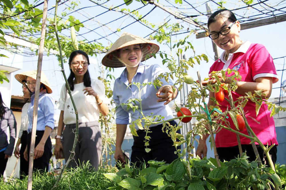 Đoàn cán bộ Hội LHPN đi khảo sát vườn rau sạch tại P.15, Q.Tân Bình