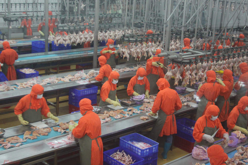 Sau một thời gian dài đàm phán, Nga đã chính thức cho phép nhập khẩu thịt gà chế biến từ Việt Nam