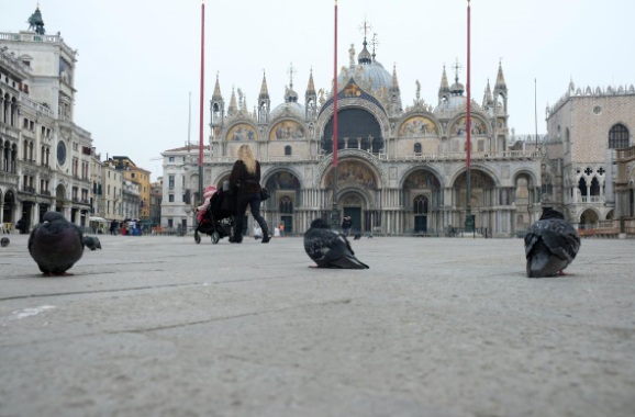 Quảng trường St. Mark tại Venice trở thành sân chơi cho những chú chim.