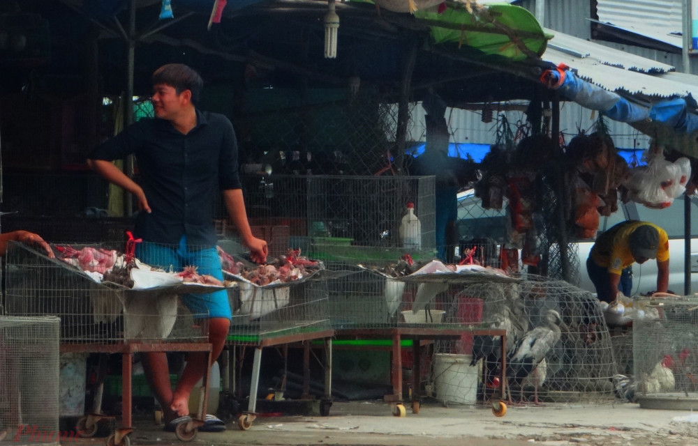 Chợ nông sản Thạnh Hóa buôn bán đủ các loại động vật hoang dã một cách công khai kéo dài nhiều năm gây bức xúc dư luận nhưng đến nay vẫn chưa được dẹp bỏ. Ảnh: H.N