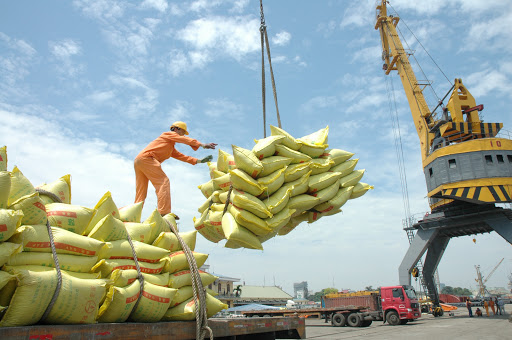 Thủ tướng yêu cầu ngưng ký mới hợp đồng xuất khẩu gạo.