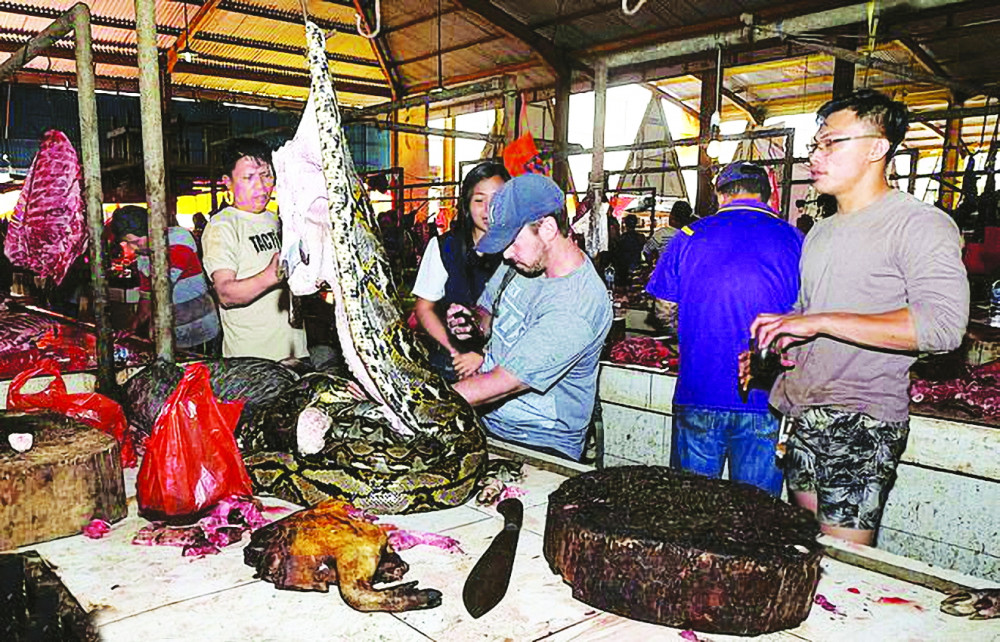 Du khách tham quan một chợ động vật hoang dã trên đảo Sulawesi, Indonesia vào tháng 2/2020