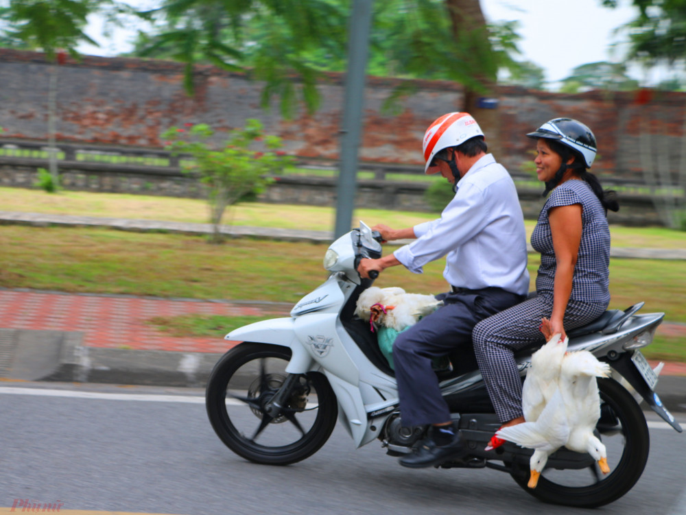 Nhận thấy việc làm có ý nghĩa, nhiều bà con trong phường Thuận Thành (TP. Huế) đã tình nguyện làm tài xế xe ôm để đem vịt đến tặng cho hộ nghèo làm thức ăn dự trữ mùa dịch COVID-19