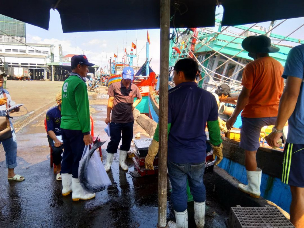 Tại cảng cá Quy Nhơn, nhiều người tập trung mua bán và gần như không ai đeo khẩu trang - Ảnh: Văn Phi
