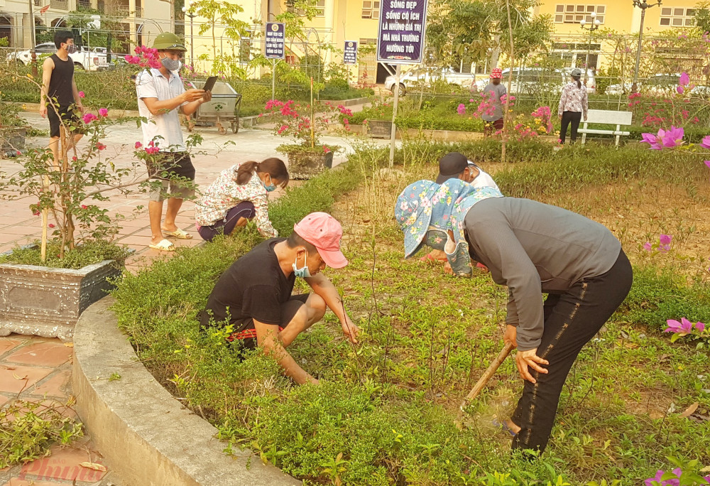 Người dân trong khu cách ly chung tay dọn cỏ, trồng rau