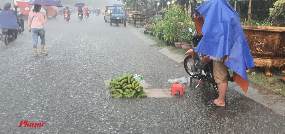 Nhiều hàng rao, cải đội mưa bán hàng