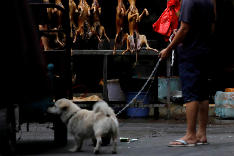 Một người đàn ông đi dạo cùng chú chó cưng của mình khi nói chuyện với một người bán thịt chó tại chợ trong lễ hội thịt chó địa phương ở Ngọc Lâm, Khu tự trị Quảng Tây, Trung Quốc.