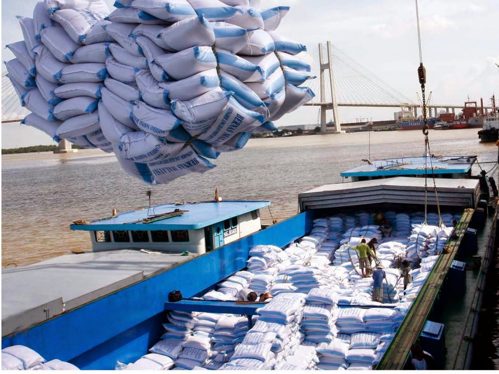 Thủ tướng cho phép xuất khẩu 400.000 tấn gạo vào tháng 4/2020