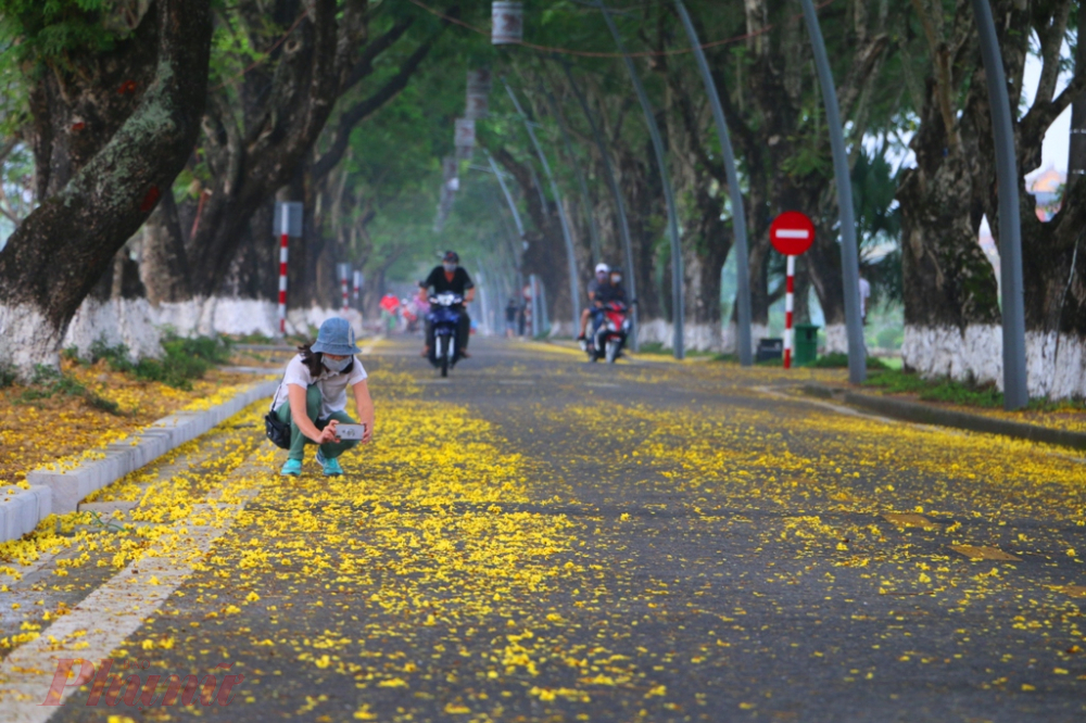 Nhiều người tranh thủ thời gian đi thể dục buổi sáng sớm để ghi lại những khoảnh tuyệt đẹp của hoa điệp vàng