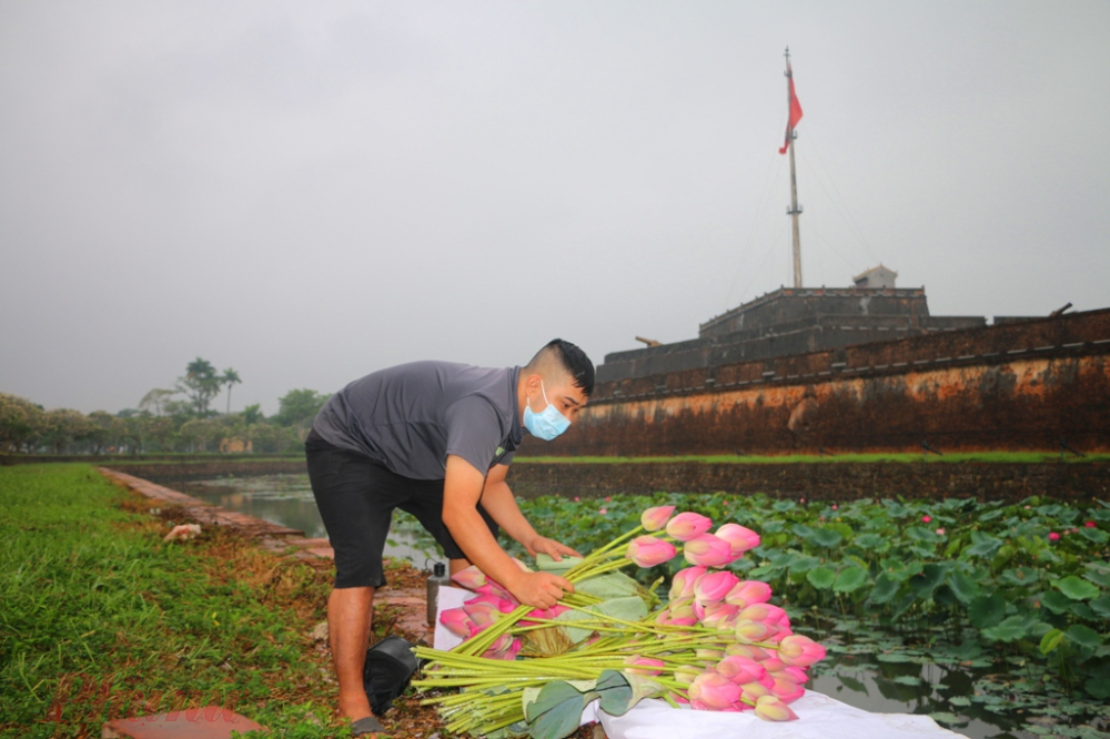 Mỗi bó sen giữa mùa COVID-19 được bán với giá 40 nghìn/10 bông nhưng anh Tuấn vẫn rơi vui khi được đem hoa đến mọi người