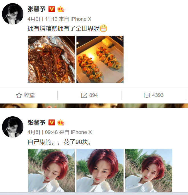 Thời gian qua, Trương Hinh Dư thường xuyên chia sẻ ảnh selfie, nấu ăn... trên mạng xã hội Weibo mà không hề đề cập việc tham gia phim ảnh hay sản phẩm nghệ thuật nào.