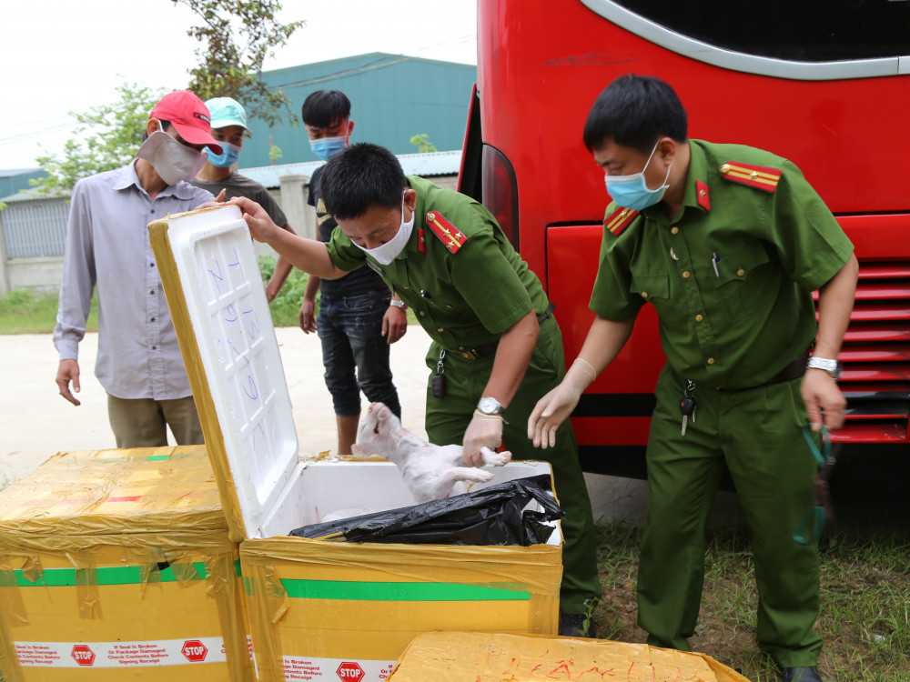 Thịt chó, mèo đã được cạo lông, bốc mùi hôi trong các thùng xốp