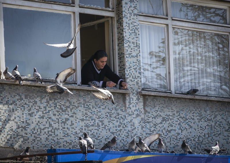 Một người đàn ông ở Ankara, Thổ Nhĩ Kỳ, cho chim bồ câu ăn bên ngoài cửa sổ của mình trong giờ giới nghiêm áp đặt cho cư dân vào tháng Tư.