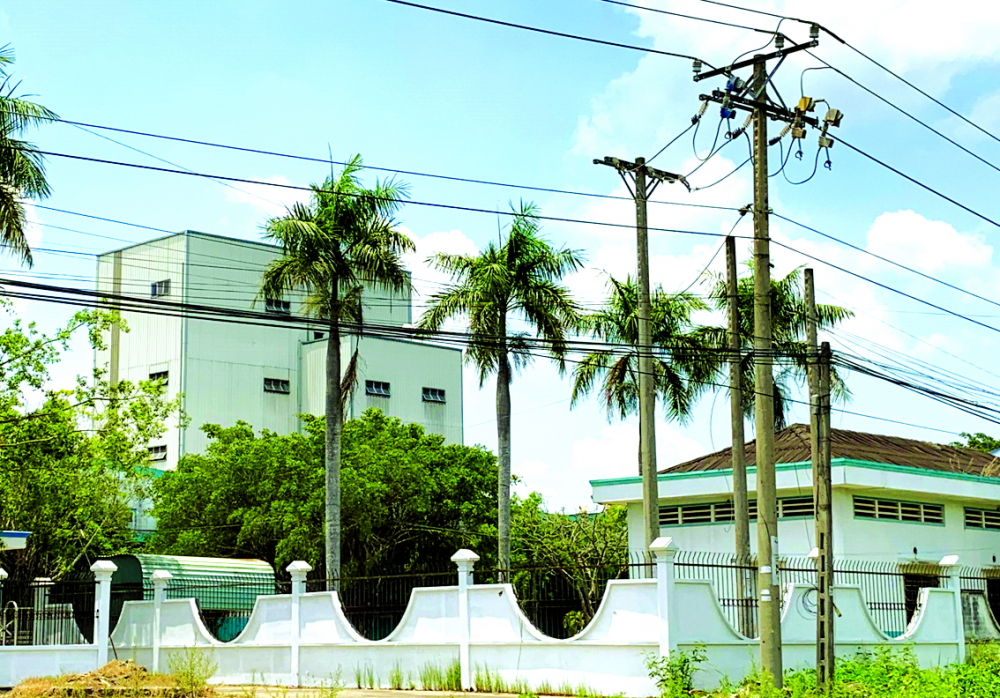 Trụ sở Công ty TNHH Biofeed tại khu công nghiệp Hòa Phú, H.Long Hồ, tỉnh Vĩnh Long