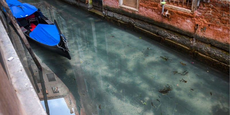 Trong những tuần khi phong tỏa nước Ý, các kênh đào của Venice đã chứng kiến sự cải thiện lớn về độ trong của nước. Những bức ảnh chụp mới đây có thể thấy được cá dưới nước. 