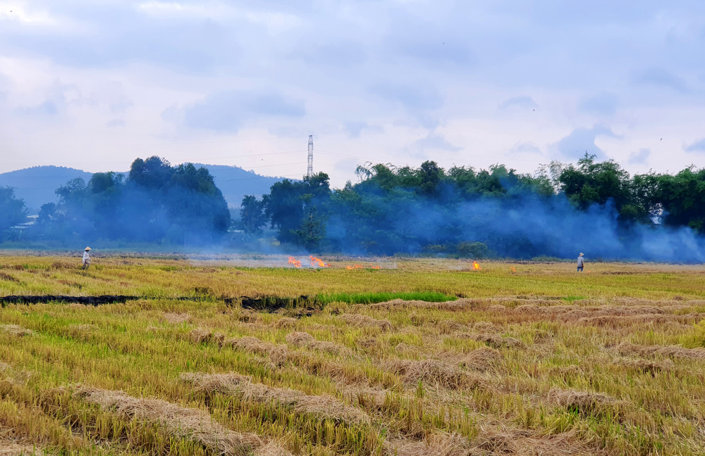 Khung cảnh làm nao lòng người lữ thứ