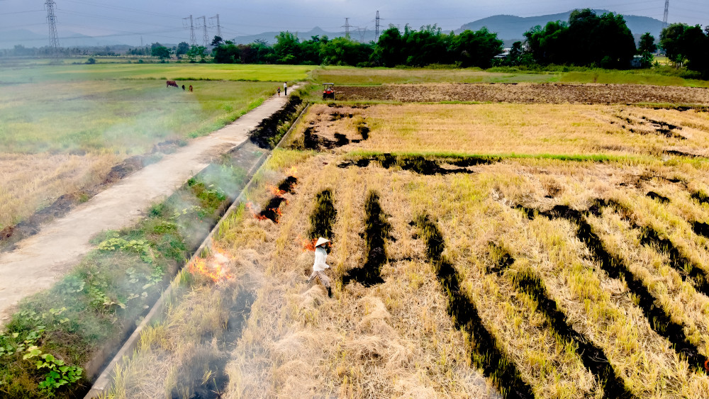 Theo thói quen sản xuất, nhiều địa phương ở Quảng Nam, Đà Nẵng, sau khi thu hoạch lúa xong người dân sẽ đốt rơm rạ để tạo mùn cho đất
