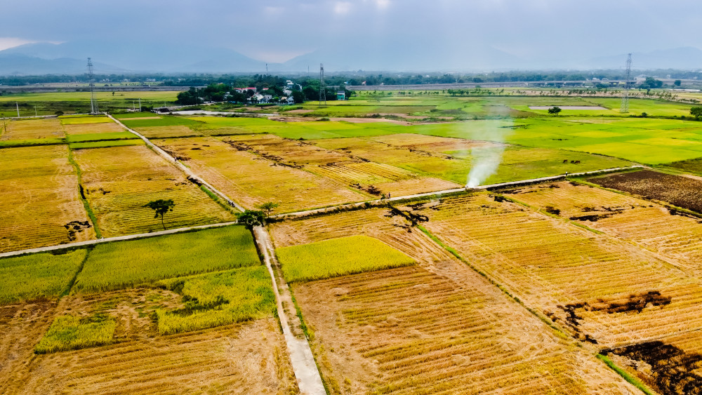 Khung cảnh làng quê ở Hòa Vang mùa đốt đồng