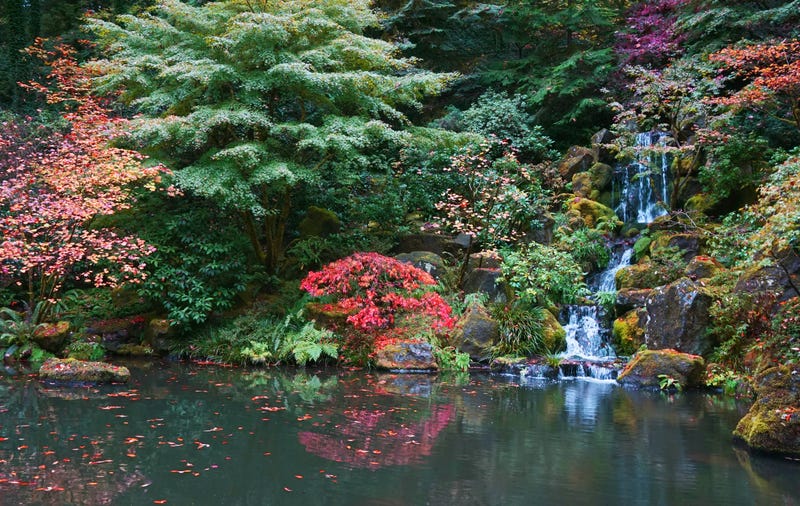 Được chia thành tám không gian yên tĩnh, Vườn Nhật Bản Portland sẽ đưa bạn đến Xứ sở mặt trời mọc. Bên trong khu vườn còn có thác nước chảy róc rách, yên bình.
