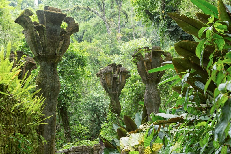 Las Pozas (The Pools) là một khu vườn điêu khắc được tạo ra bởi Edward James, một nhà thơ và nhà bảo trợ nghệ thuật người Anh. đã xây dựng Las Pozas trên một đồn điền cà phê gần Xilitla, ở vùng Huasteca của Mexico. Khu vườn này chứa hơn 30 cấu trúc, bao gồm các tác phẩm điêu khắc thực vật quái dị, cầu thang uốn lượn dẫn tới vô cực...