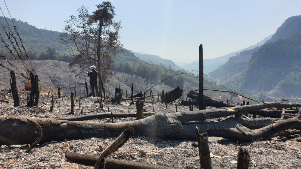 Hơn 32ha rừng phòng hộ bị đốt cháy ở Quảng Nam