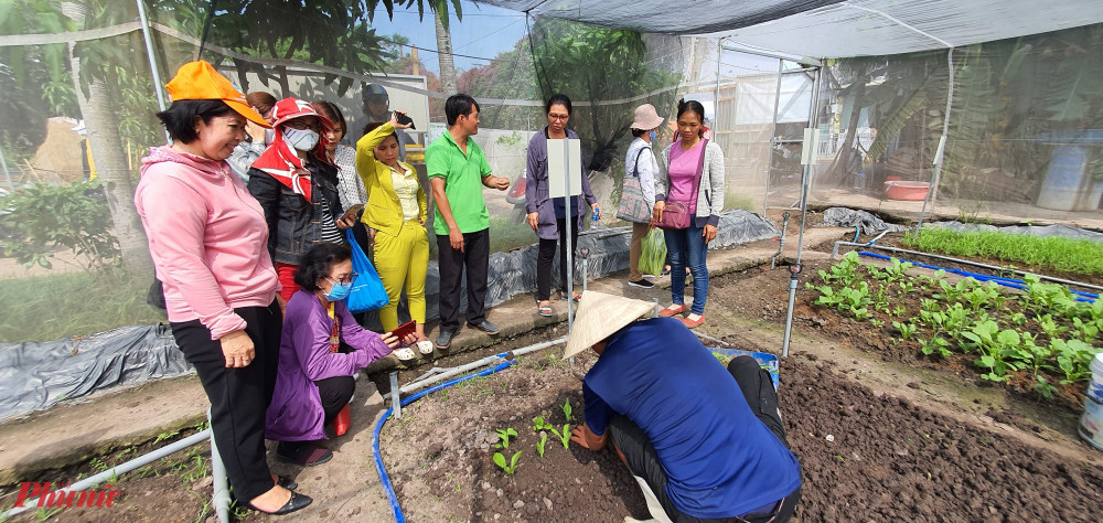 Các chị có dịp tham qua và được hướng dẫn kỹ thuật trồng rau tại nhà 
