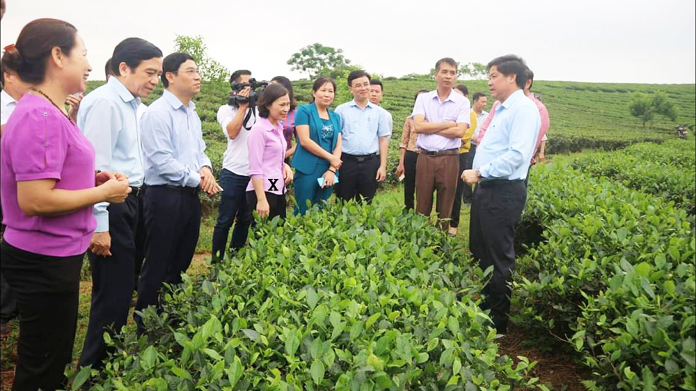 Bà Vũ Thị Thương Huyền (x) giới thiệu mô hình chè sạch, canh tác bền vững với Thứ trưởng Bộ Nông nghiệp và Phát triển nông thôn
