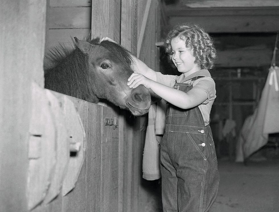 Shirley Temple mặc chiếc quần yếm Jean khi đến thăm chuồng ngựa. Ngôi sao nhí chụp ảnh với chú ngựa Little Carnation